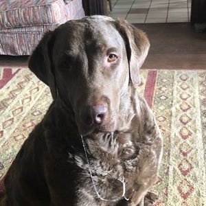 Meet your Posher, Geoff